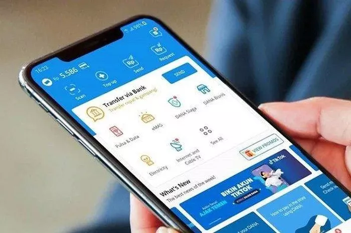 Cara mengatasi saldo Dana tidak masuk
