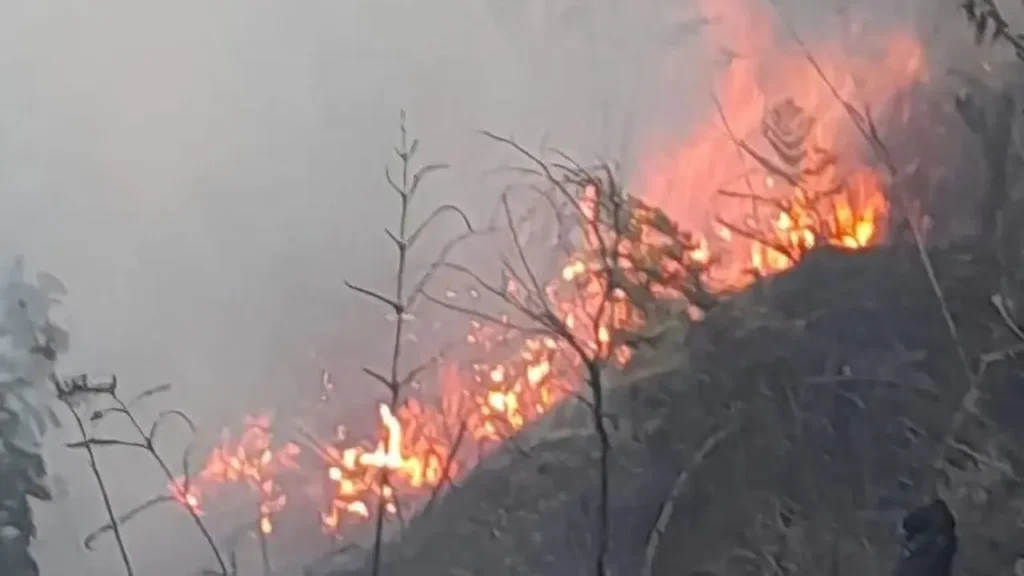 Gunung Bromo kebakaran memaksa pengelola menutup sementara aktivitas wisata. 