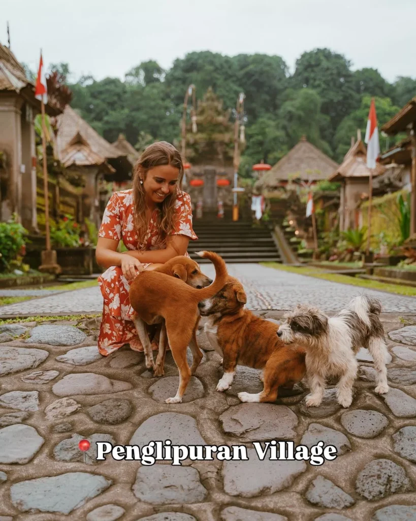 Desa Penglipuran