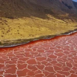 Danau Natron