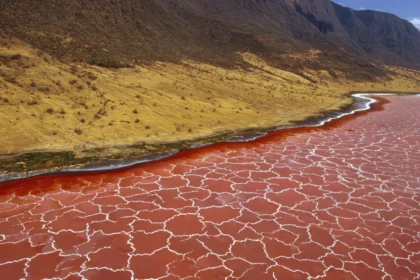 Danau Natron