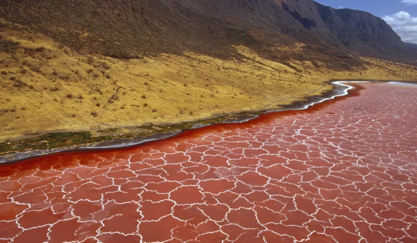 Danau Natron